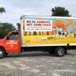 Box truck wrap for PETA. We can wrap your company trucks, any size at DeSigns, Inc.