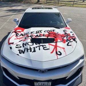 Snow White grunge style hood graphics on car from DeSigns, Inc.