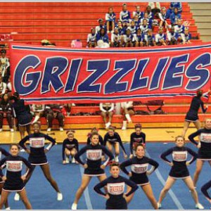 Large banners, Large vinyl banners, custom banners from DeSigns, Inc.