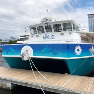 Boat wrap for Virginia Aquarium. We wrap boats inside and out at DeSigns, Inc.