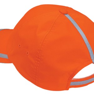 Quality caps. Screen print or Embroider name, logo, and slogan. Great promotional item for events and tradeshows.