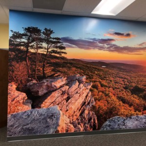 Scenic murals for office walls by DeSigns, Inc.