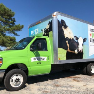 Box truck wrapping for PETA. We can wrap your company trucks, any size at DeSigns, Inc.