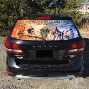 See-through rear window graphics and art for car or trucks from DeSigns, Inc.